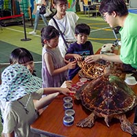 こども大学